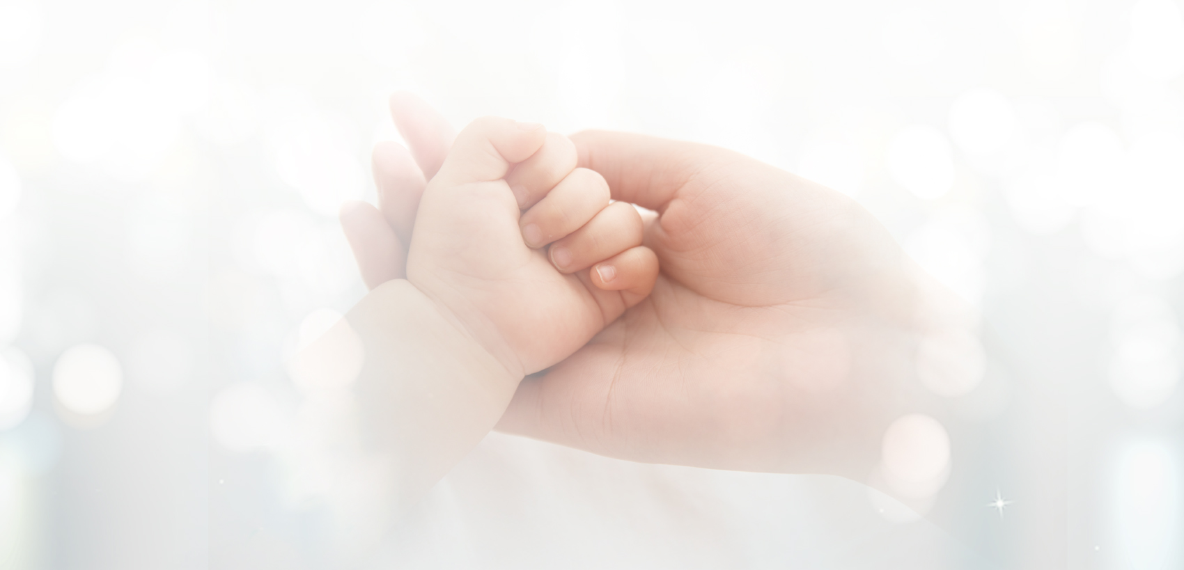 捐献的是爱心 救助的是生命