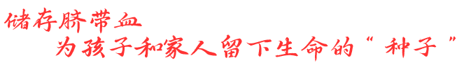 脐带血储存